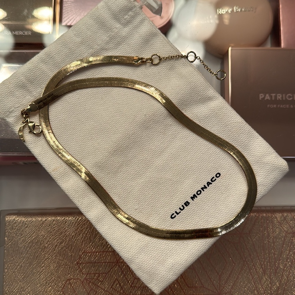 NIB Club Monaco 16” chainmail necklace